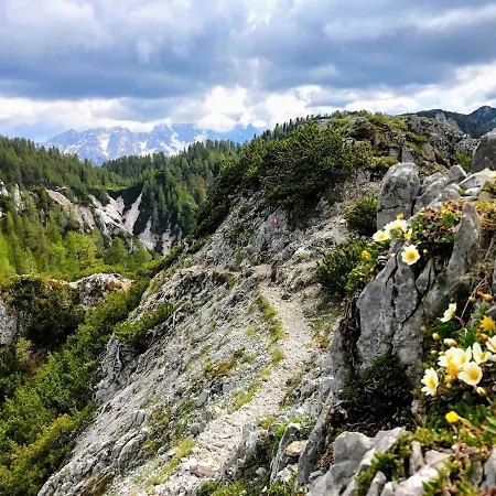 Urlaub-am-faaker-see-am-fusse-der-karawanken * Villach